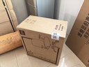 得力（deli）4900S 人体工学靠背办公椅/电脑椅/职员椅 可升降转椅舒棉坐垫 黑 实拍图