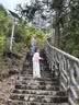 骆驼登山杖户外徒步爬山轻便携伸缩登山装备铝合金拐杖防身棍 2SA7D41 实拍图