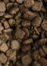 比乐牛肉蔓越莓成幼猫粮10kg全价通用猫粮20斤【囤货装】 实拍图