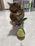 HELLOJOY猫玩具自嗨解闷逗猫棒不倒翁漏食球猫薄荷宠物猫玩的猫咪用品大全 实拍图