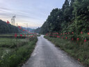 仪标新式棕色作战靴超轻训练真皮防水战靴沙漠高帮登山鞋户外作战鞋 棕色作战靴（质保一年） 41 实拍图