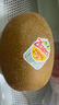 佳沛（zespri）新西兰 阳光金奇异果12粒特大果单果124-146g 猕猴桃水果礼盒 实拍图
