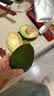 秘鲁进口哈斯牛油果 老树奶酪牛油果 新鲜孕妇水果宝宝辅食鳄梨 单果净重：190-210g 2粒尝鲜装 实拍图