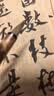 荣宝斋 毛笔 纯净狼毫大中小楷书 文房四宝书法国画行写意工笔蝇头小楷抄写经笔 纯净狼毫-中楷热门商品 实拍图