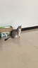 pidan猫砂 纯豆腐猫砂2.4kg*4包强力吸臭不易带出 可冲厕所非膨润土砂 实拍图