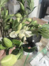 爱普生C13S015583原装色带(色带架含芯)黑色单支装(适用于LQ-610KII/615KII/630KII等)色带架:13mm*14m 实拍图