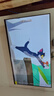 海尔（Haier）电视 26年新品43/50英寸高清全面屏 8G大内存 智慧投屏 老人卧室家用 租房液晶彩电电视机 43英寸 26款新品升级 疾速WiFi6/双重护眼 咨询领惊喜 实拍图