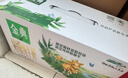 伊利【新鲜日期】金典双限定娟姗纯牛奶锡林郭勒牧场250ml*12 3-4月 实拍图