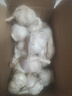 【百万单爆品】紫白皮蒜水果大蒜超市生鲜蔬菜调料即食蒜 【优选】净重0.9斤单果3.5-5cm 实拍图
