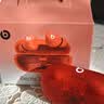 beats Solo Buds 真无线耳机【礼物】 蓝牙耳机  兼容苹果安卓系统  晶透红 实拍图