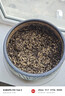 史丹利小号陶粒垫底小陶粒土养花专用多肉花用铺面花盆花卉种花园艺5L 实拍图