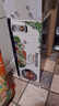 保拉纳（Paulaner）柏龙 经典小麦白啤 500ml*24听 德国进口啤酒 京东自营踏春送礼 实拍图