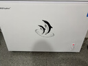荣事达（Royalstar）小冰柜家用小型冷冻保鲜迷你冷藏商用卧式冷柜单用储母乳柜节能省电 【高性价比 节能省电】单温 330L 实拍图