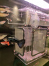 疯狂水草孔雀鱼活体水族宠物观赏鱼冷水耐活小型热带鱼淡水鱼苗 【4CM左右】临产孔雀鱼E 共8条 实拍图