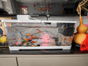 森森鱼缸增氧泵水族箱氧气泵LQE-200家用小型充氧泵4W双孔+全套配件 实拍图