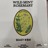 野兽派（THE BEAST）Jungle野桃木槿花香薰蜡烛礼盒室内香薰新婚礼物生日礼物 实拍图