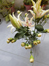 康乃馨百合鲜花混搭套餐云南鲜花直发居家插花母亲节送长辈花束 随机康乃馨20枝+随机百合5朵 实拍图