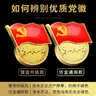 易利丰（elifo）不褪色国家标准党徽胸章别针党员徽章党徽强磁冬季党徽磁吸党徽别针党徽最新版2026强磁吸党徽磁扣 实拍图