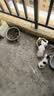 HELLOJOY猫条猫咪零食混合成幼猫湿粮主食补水发腮营养增肥批发15克*300支 实拍图