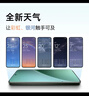 小米15Pro 徕卡光学Summilux高速镜头 骁龙8至尊版移动平台 徕卡潜望长焦 16+512 云杉绿 5g手机 实拍图