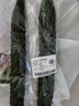 长黄瓜约600g 实拍图