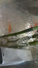森森 小鲤鱼缸过滤器净水循环三合一内置水族箱过滤系统XQP-500F 6W 实拍图