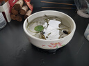 盆生花道水培花盆陶瓷水仙花睡莲碗莲铜钱草无孔水养专用花盆清仓 大号荷叶尖尖莲花水培盆+托盘 无规格 实拍图