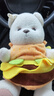 莉娜熊（TeddyTales）小熊玩偶毛绒玩具熊泰迪手作熊安抚娃娃送礼送人毕业礼物送女生 奶茶色（经典款） 中号站姿约30cm 实拍图