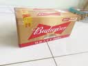 百威（Budweiser）经典纯生淡色拉格啤酒 500ml*18听整箱装 踏春送礼 实拍图