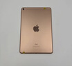 Apple 苹果平板电脑 iPad mini5 二手平板电脑 金色 256G WiFi+4G 实拍图