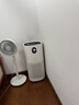 东芝（TOSHIBA）大白梨空气净化器除花粉过敏源甲醛pm2.5等离子消杀母婴家用病毒细菌医护级卫健委备案家用 实拍图