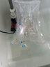 锦鲤纯种高档水花精品日本红白大正观赏鱼昭和鱼苗冷水现货招财 2-3厘米（小苗还未完全发色，介意者慎拍） 2-3厘米50条送10%防损 晒单实拍图