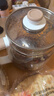 小熊（Bear）养生壶 煮茶壶 恒温水壶 保温烧水一体电热水壶花茶壶 316L不锈钢 1.5L大容量 YSH-J15H8 实拍图