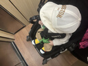 卡特兔宝宝学步鞋秋季婴儿鞋宝宝鞋子机能鞋男童鞋女童幼儿室内鞋 红黄蓝-网眼 20 内长12.5cm 脚长11.8-12.2 实拍图