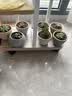 仟尚亿多肉花盆陶瓷个性简约室内植物创意粗陶花盆栽花盆透气大口径组合 彩陶盆6个 热销榜第一 实拍图