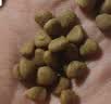 好主人新品狗粮鸭肉梨冻干四拼成犬粮通用成犬粮360g【试吃装】 实拍图