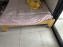 图柔【顺丰闪发】床实木床现代简约双人床主卧大床单人床出租床 单床【促销款】 1.5*2米 框架结构 实拍图