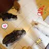 皇家成猫猫粮 营养均衡 F32 通用粮 1-7岁 4.5KG 实拍图