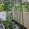 九千谷 园艺支架阳台花园植物攀爬架豆角黄瓜架种菜支撑架 管径11mm7055 实拍图