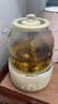 CLARA【价保618】可莱养生壶全玻璃恒温壶煮茶壶煮茶器1L办公室必备家用花茶壶烧水壶电热水壶标准款 实拍图