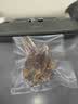 康佳（KONKA）真空压缩封口机密封机全自动家用抽真空包装一体机塑封机家用食品真空机干湿两用 实拍图