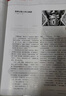 少年新知杂志三联生活周刊青少年版 9-16岁中小学生人文思辨思维 青少年课外阅读书籍 2025年/2026年单本/半年/全年订阅任选杂志铺杂志订阅少儿阅读漫画插画故事正版非过刊 【现货】少年新知202 晒单实拍图