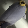 babycare婴儿玩偶安抚枕多功能哄睡枕侧睡靠背档枕沃伊鲸鱼45*23*15-0-1岁 实拍图