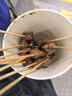 bebebus乳木果润2.0系列新品纸尿裤超薄泡泡腰围拉拉学步裤独立装尿不湿 拉拉裤XL码32片/提 实拍图
