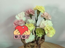吕姆克花瓶玻璃客厅摆件花瓶插花水养大号玻璃花瓶北欧琥珀色高28cm8549 实拍图