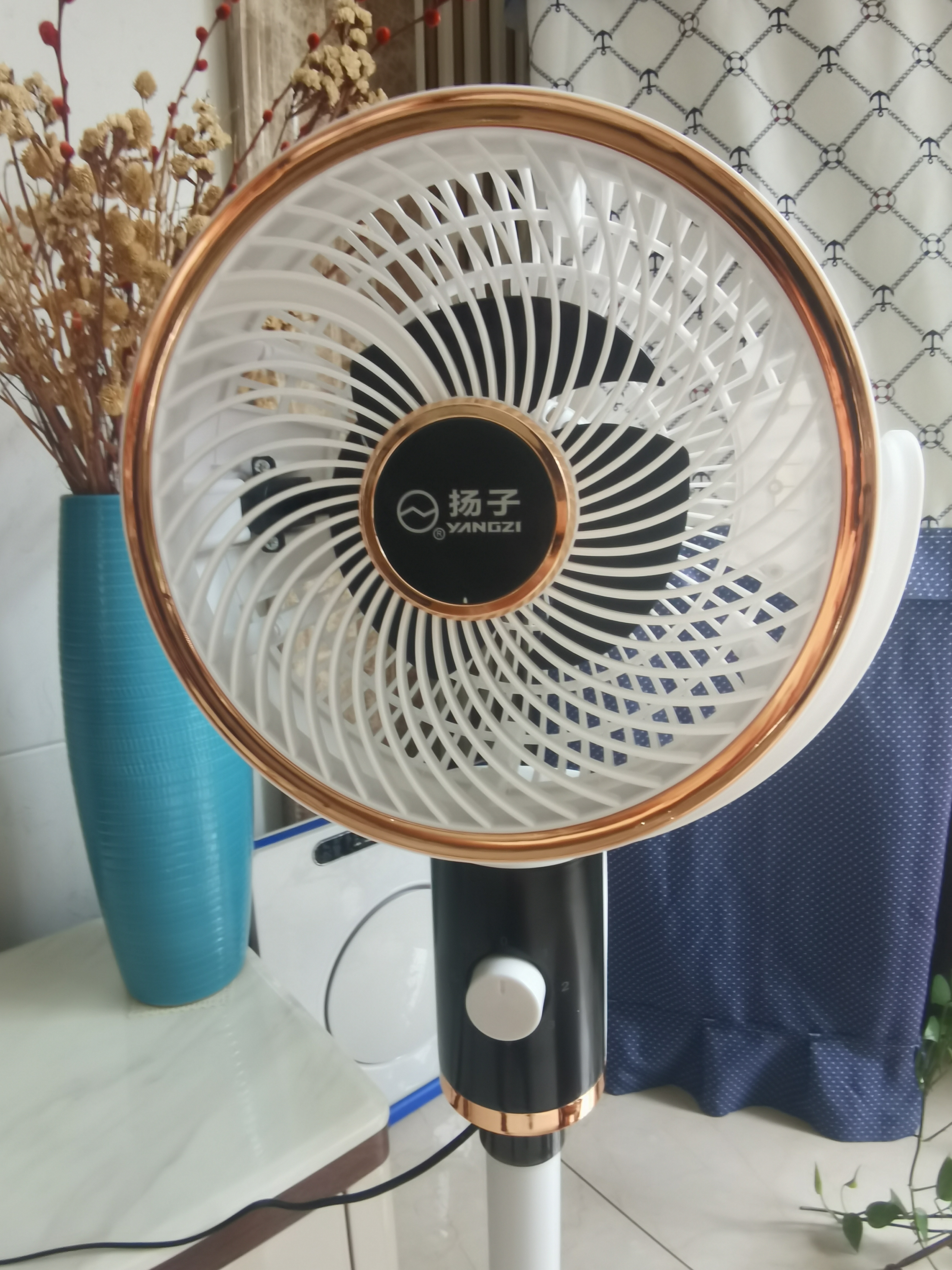 扬子（YANGZI）电风扇家用空气循环扇落地扇遥控电风扇家用电扇立式摇头遥控办公室桌面风扇 【旗舰款】机械摇头加高款 实拍图