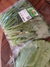 【24小时菜】菠菜苗250g(长度≤20cm) 实拍图