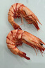 海石兄弟特大九节虾干250g 即食烤虾干海产干货零食干海鲜特产 源头直发 实拍图