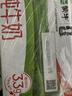 蒙牛全脂纯牛奶250ml*16盒 牛奶年货礼盒 电商定制 实拍图