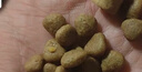 好主人新品狗粮鸭肉梨冻干四拼成犬粮通用成犬粮360g【试吃装】 实拍图